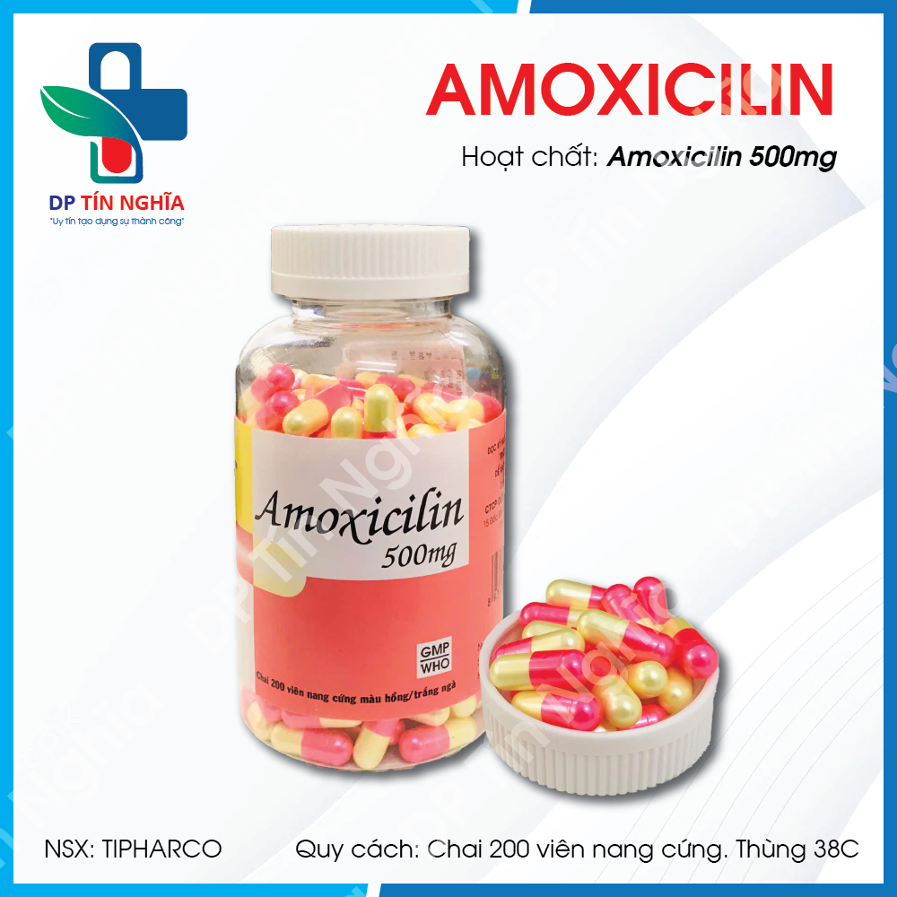 Amoxicilin 500mg Chai