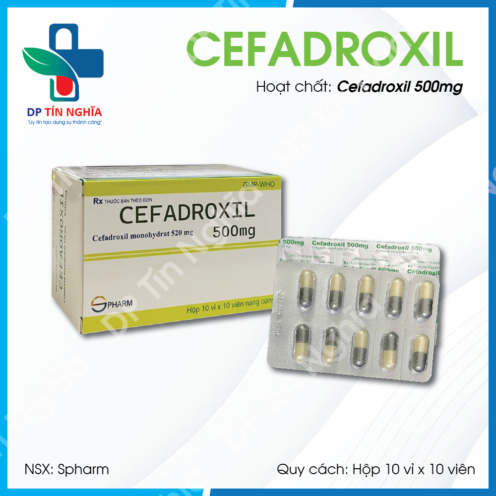 Cefadroxil 500